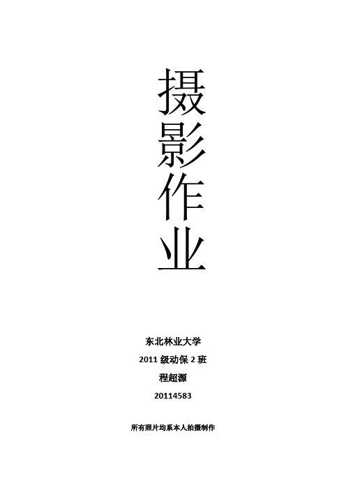 摄影作业集合,十张类型摄影作业照片。