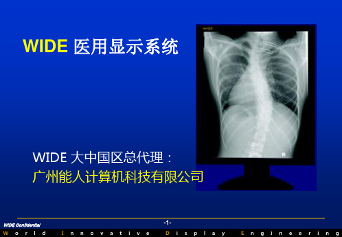 WIDE产品介绍