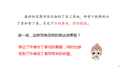 六年级上册语文课件-2《丁香结》课时2 人教部编版 (共30张PPT)_6-10