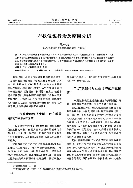 产权侵犯行为及原因分析