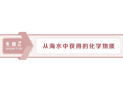 从海水中获得的化学物质 (1)
