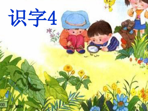 苏教版语文一年级上册识字5《观察、采集、昆虫》ppt课件(2)