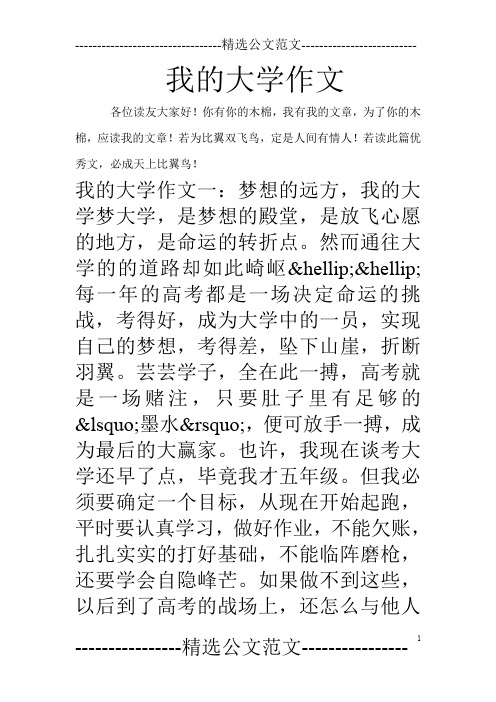 我的大学作文