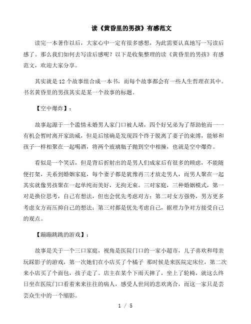 读《黄昏里的男孩》有感范文