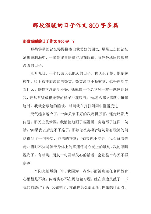 那段温暖的日子作文800字多篇