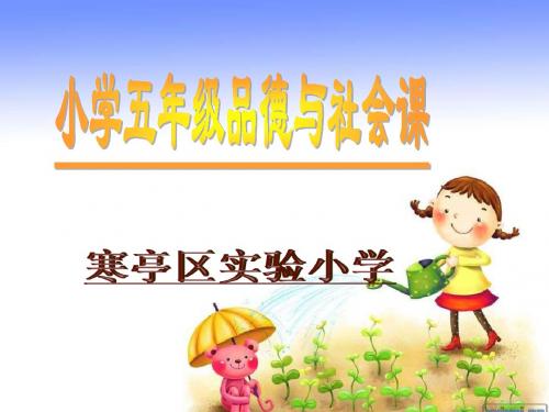 优秀完整课件山东版品德与社会五上《信件传真情》