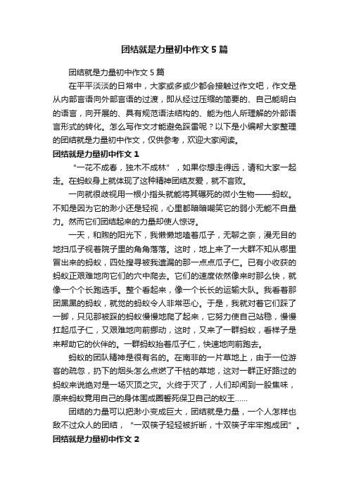 团结就是力量初中作文5篇