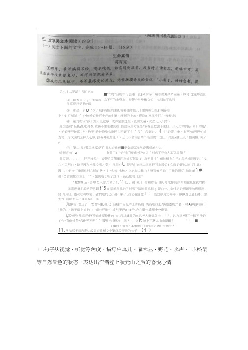 《生命真情》阅读练习及答案