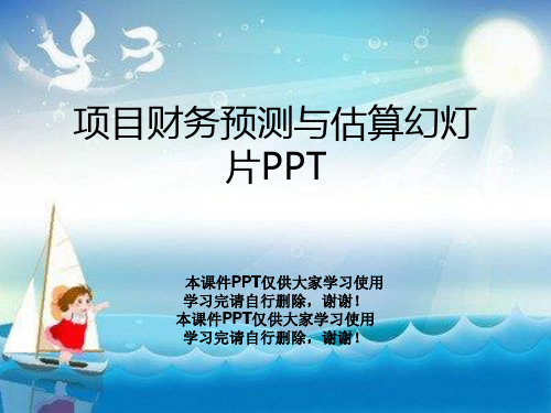 项目财务预测与估算幻灯片PPT