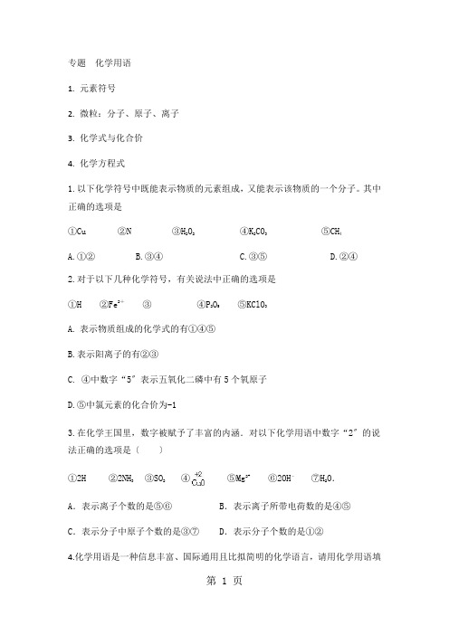 人教版九年级化学(上)专题  化学用语练习题(无答案)