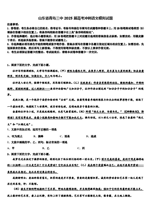 山东省青岛三中2025届高考冲刺语文模拟试题含解析