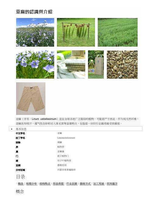 亚麻籽(Omega-3)脂肪酸的认识与介绍