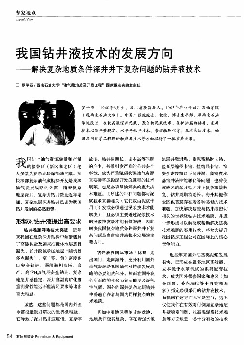 我国钻井液技术的发展方向——解决复杂地质条件深井井下复杂问题的钻井液技术