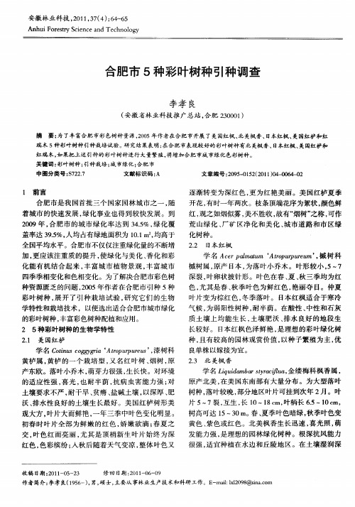 合肥市5种彩叶树种引种调查