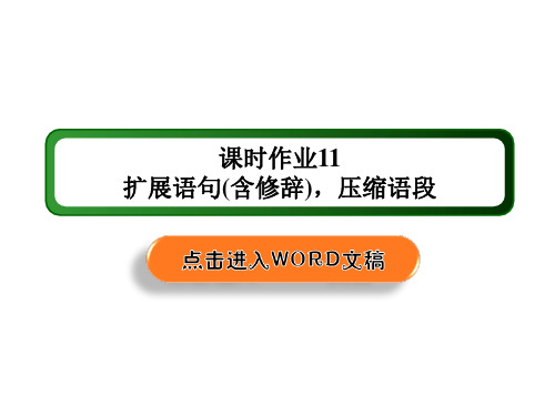 2021届高考语文人教版大一轮总复习：11 扩展语句(含修辞)压缩语段