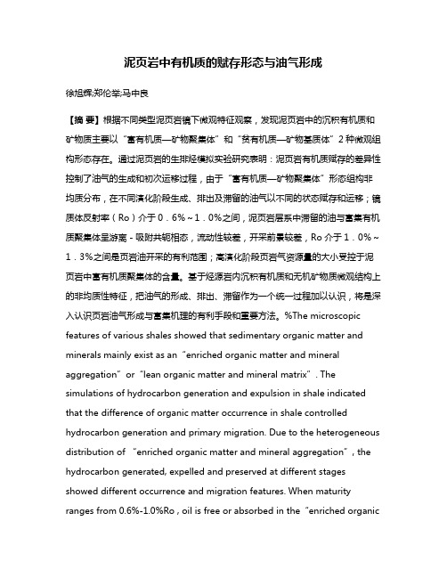 泥页岩中有机质的赋存形态与油气形成