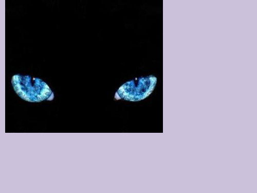四年级下册语文课件—6.我们家的猫 ▎冀教版(共26张PPT)