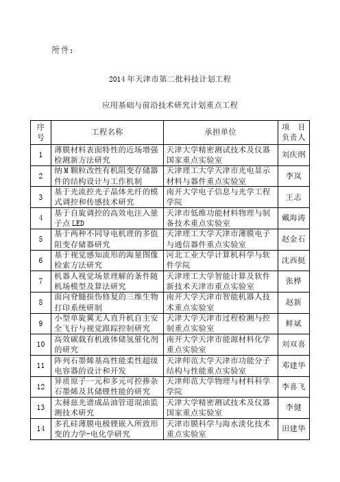 天津市第二批科技计划项目