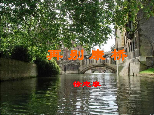 《再别康桥》人教统编版1