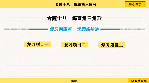 2024年中考数学总复习专题18解直角三角形复习划重点 学霸炼技法