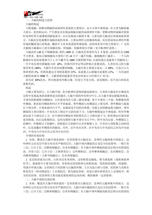 【保护大脑】第一章 大脑的基础知识(1)