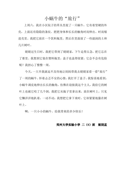 小蜗牛的旅行