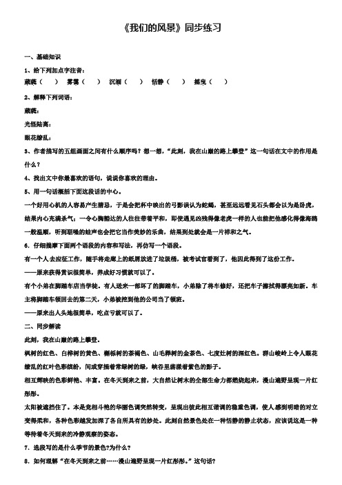 鄂教版九上《我们的风景》同步练习及答案