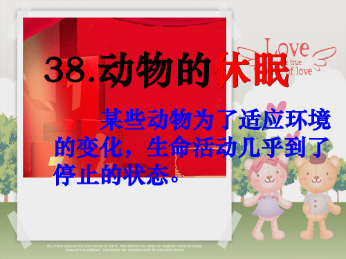 三年级语文上册《动物的休眠》课件3 沪教沪教件