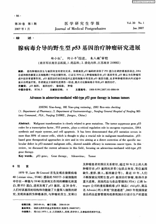腺病毒介导的野生型p53基因治疗肿瘤研究进展