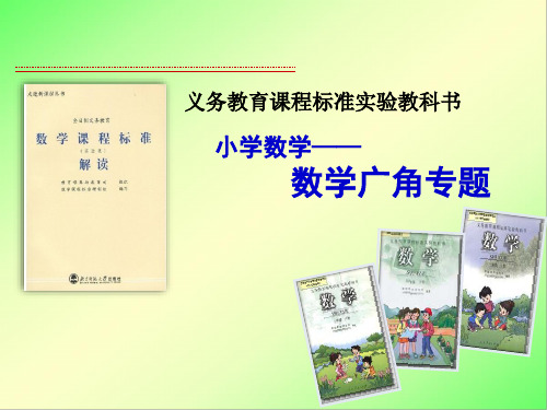 小学数学教材解读——数学广角专题 课件