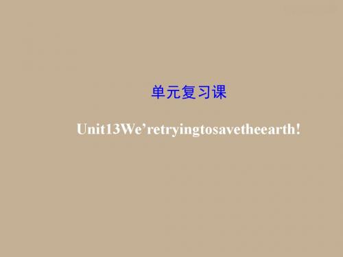 人教版英语九年级Unit13We’retryingtosavetheearth!单元复习课课件