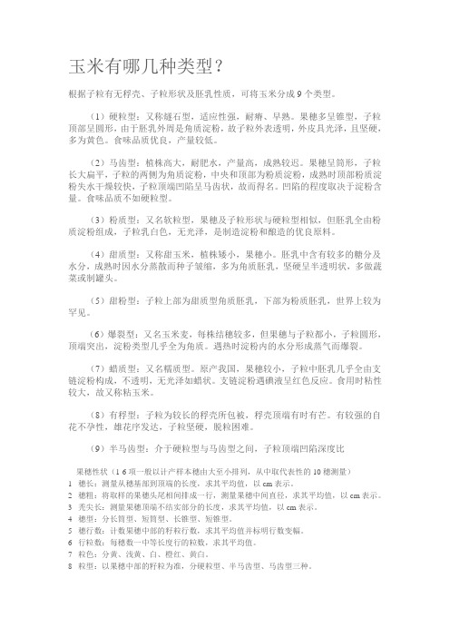 玉米有哪几种类型