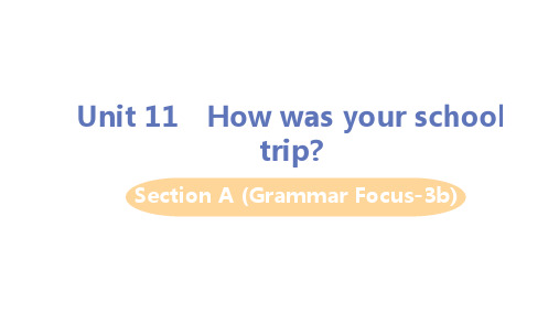 人教版七年级英语下册Unit 11 SectionA (Grammer Focus-3b) 教学课件