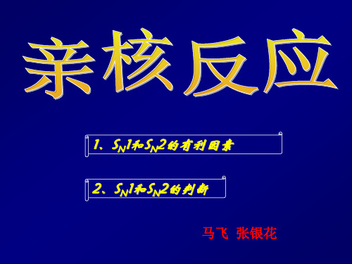 亲核反映