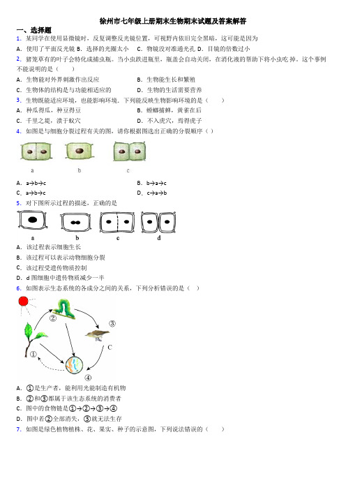 徐州市七年级上册期末生物期末试题及答案解答