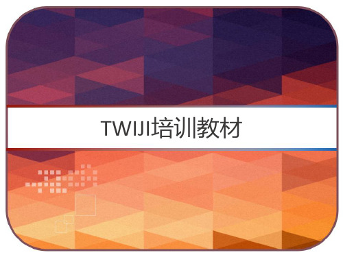 TWIJI培训教材 PPT
