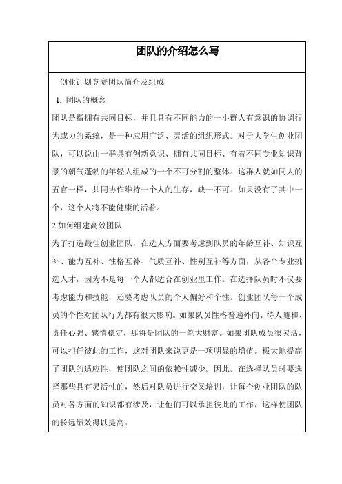 团队的介绍怎么写