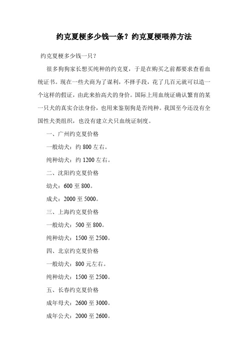 约克夏梗多少钱一条？约克夏梗喂养方法