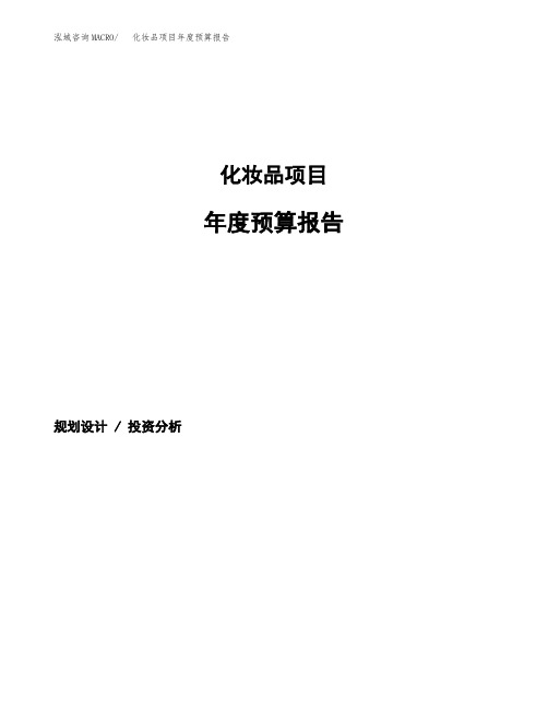 化妆品项目年度预算报告