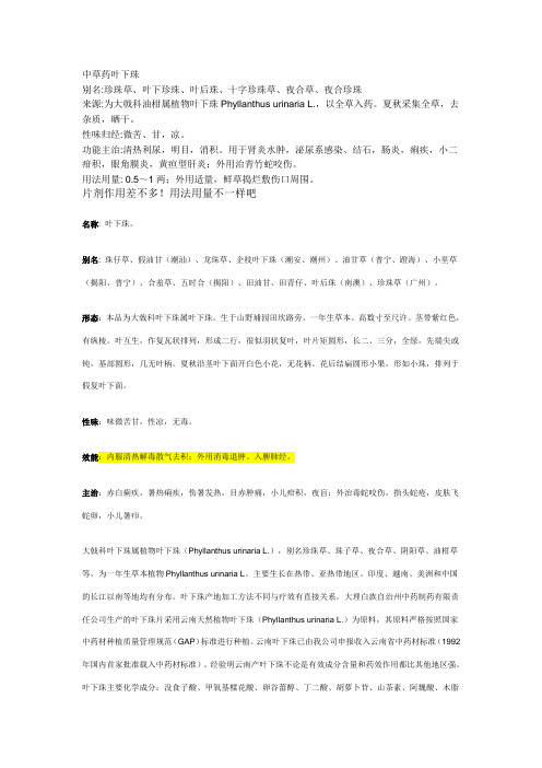 中草药叶下珠