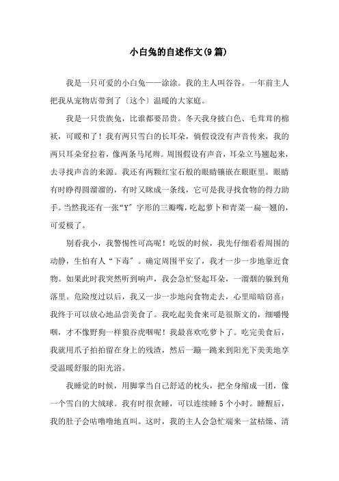 小白兔的自述作文精选