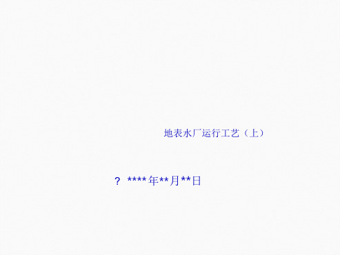 地表水厂处理工艺