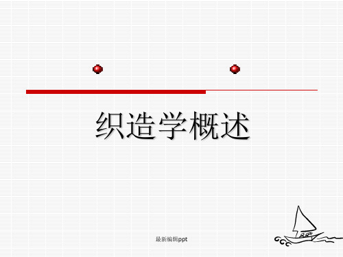 织造工艺过程