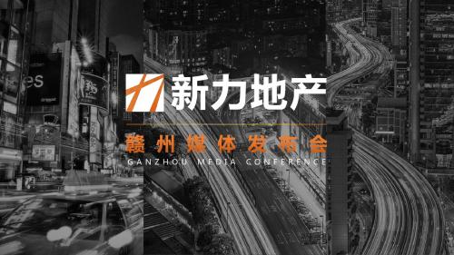 2017新力地产媒体发布会活动方案