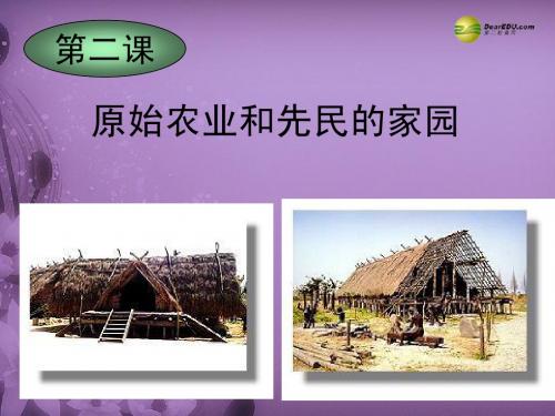 八年级历史与社会上册 第一单元第二课原始农业和先民的家园课件 人教版