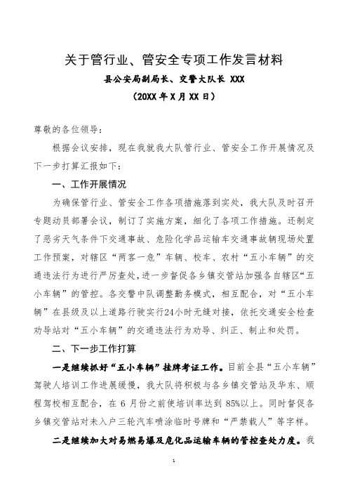关于管行业、管安全专项行动发言材料