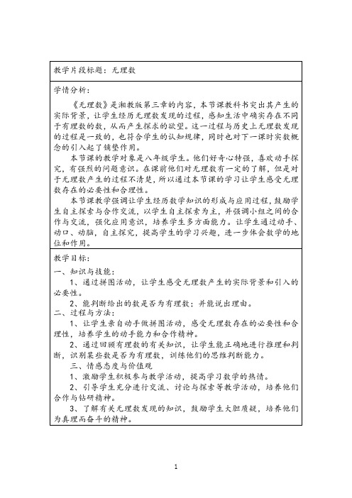 湘教版(2012)初中数学八年级上册3.3 实数无理数 教案 .docx