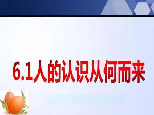 【高中政治】人的认识从何而来ppt精品课件31