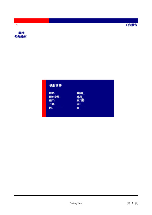 中国渔政201油漆施工报告-船东报告