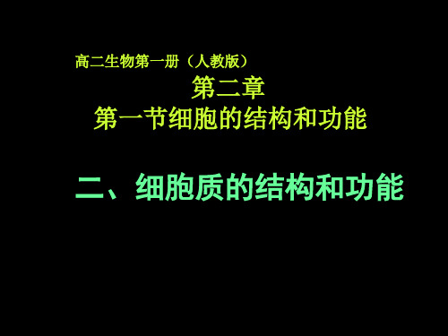 细胞质的结构和功能PPT课件